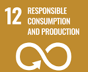 SDG 12
